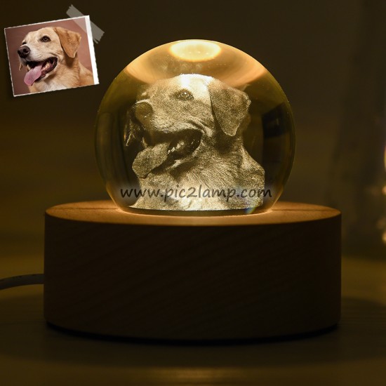 Personalized Pet Photo Crystal Ball Lamp