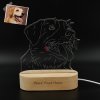 Custom Lovely Pet Photo 3D Lamp, Picture Engraved 3D Night Light
