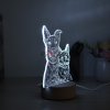 Custom Creative Photo Lamp, Pet Engraved Photo Lamp - Magic Remote Control, Touch Multiple Color